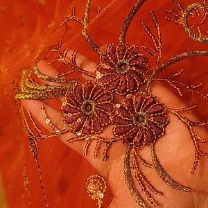 Blood Orange Net Sari